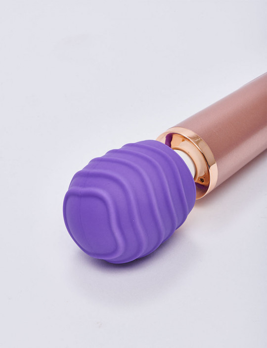 Le Wand Petite Vibrator First Accessory detail