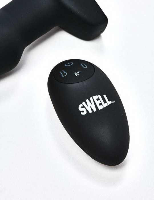 Vibrating Butt Plug remote