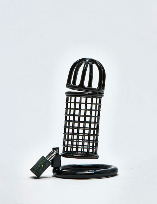 Chastity Cage from Black Line