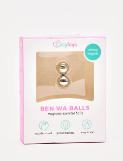 Balls Ben Wa - Silver - EasyToys