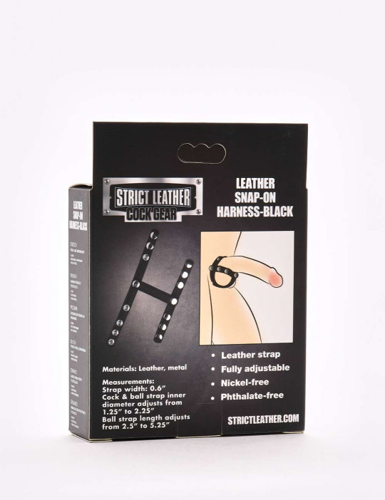 Cock Ring Harness strict leather